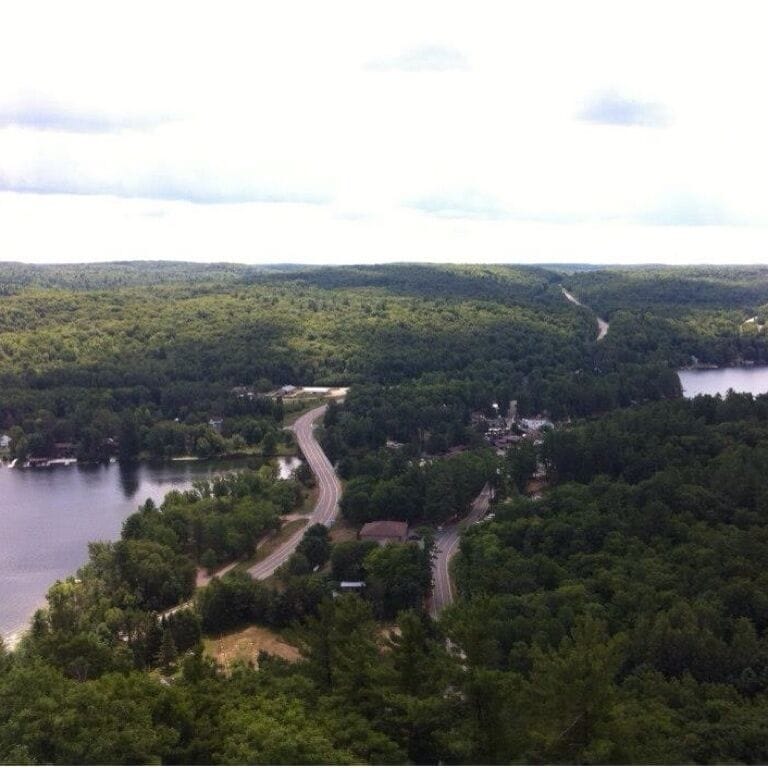 View from the top of Dorset tower
