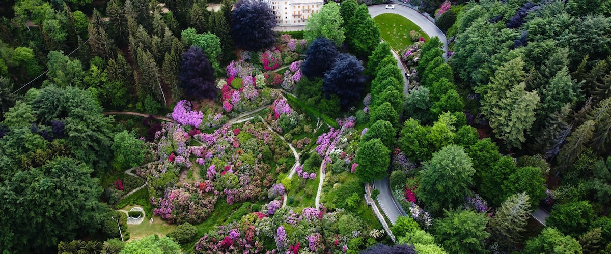 A lush garden with a winding path, a large building, and dense forest.