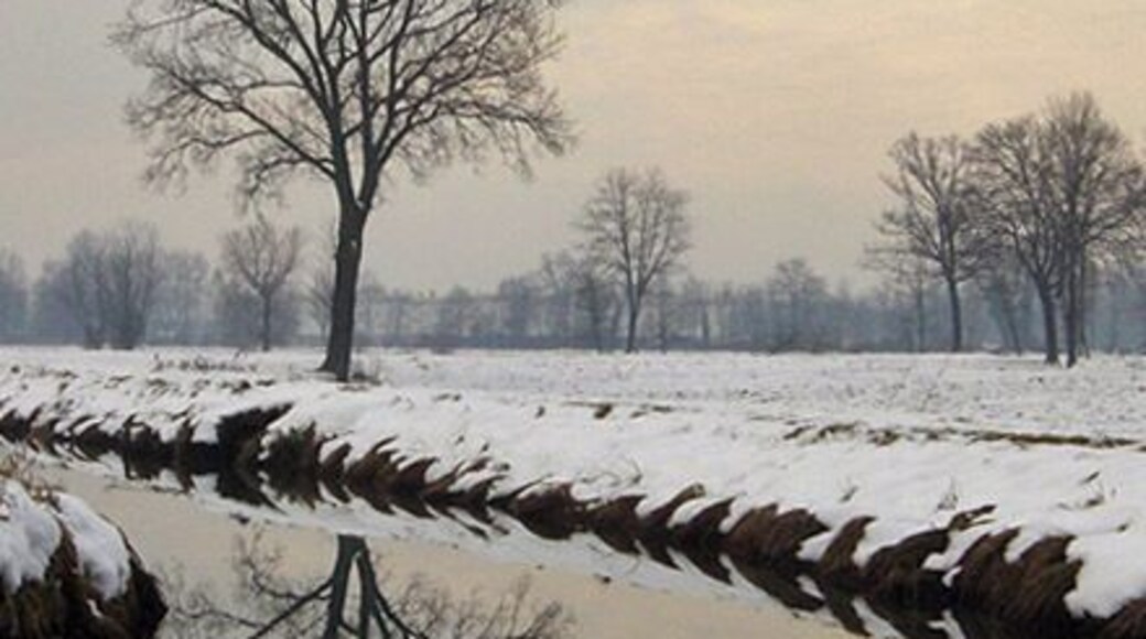 Campo in neve - Basiglio
