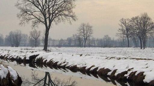 Campo in neve - Basiglio