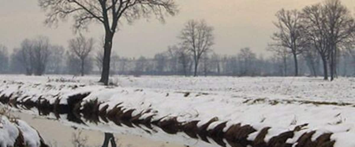A snow-covered landscape with a stone wall and leafless trees.