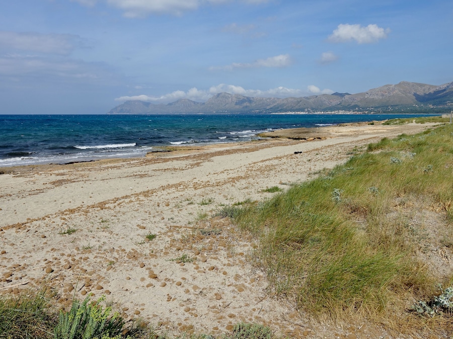 Un paisaje costero con una playa arenosa, dunas cubiertas de hierba y montañas al fondo.