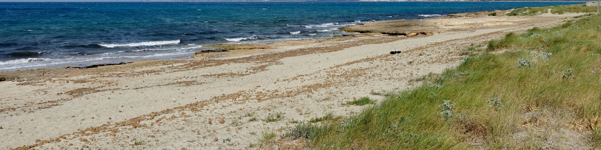 Platja de s’Home Mort, Son Serra de Marina, Gemeinde Santa Margalida, Mallorca, Spanien
