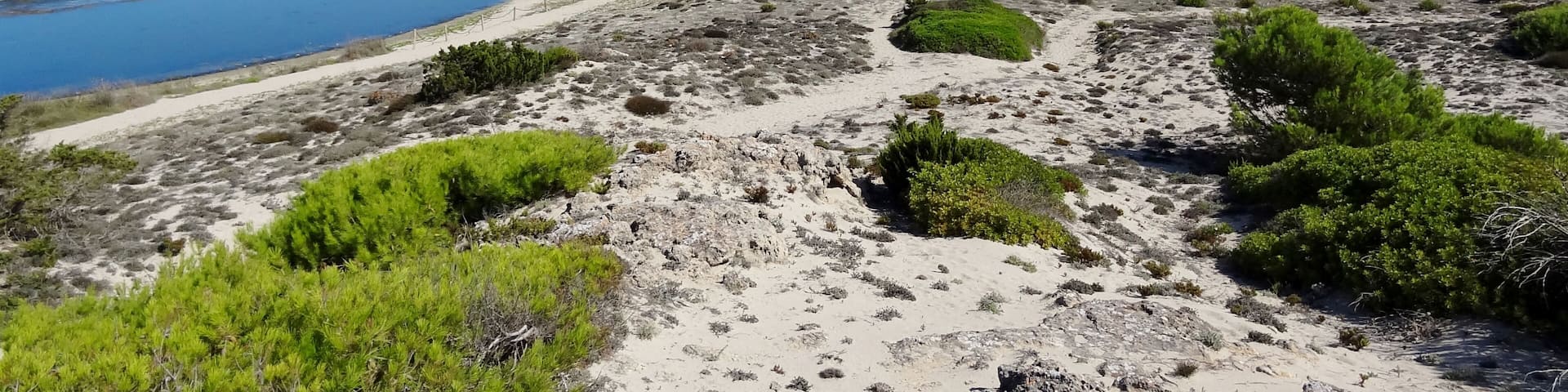 Der Strand Platja de Son Real an der KĂŒste der Gemeinde Santa Margalida, Mallorca, Spanien