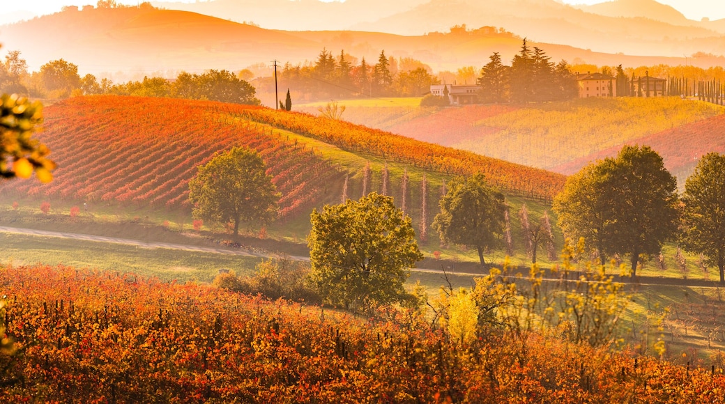 Castelvetro di Modena