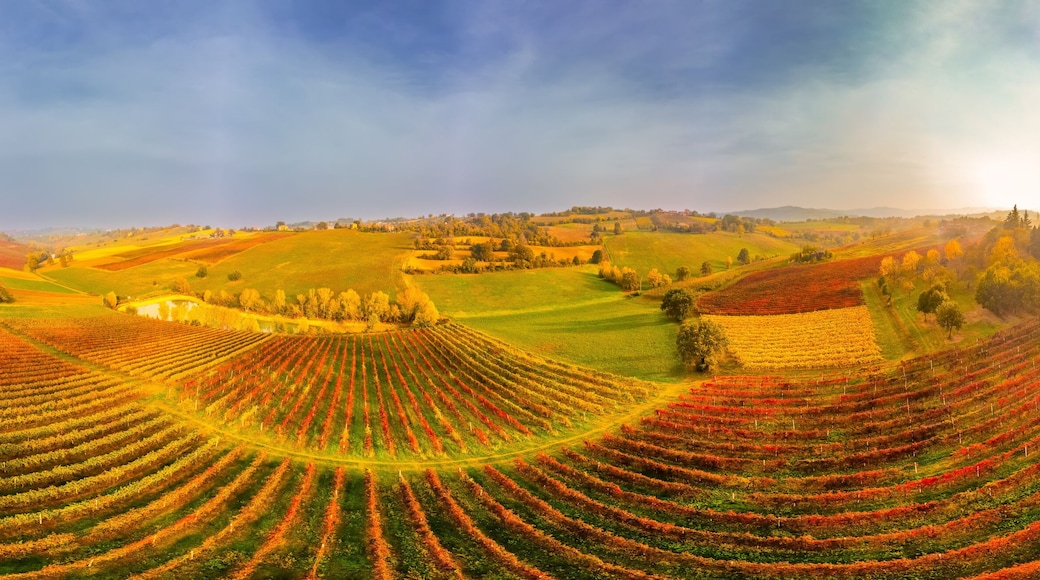 Castelvetro di Modena