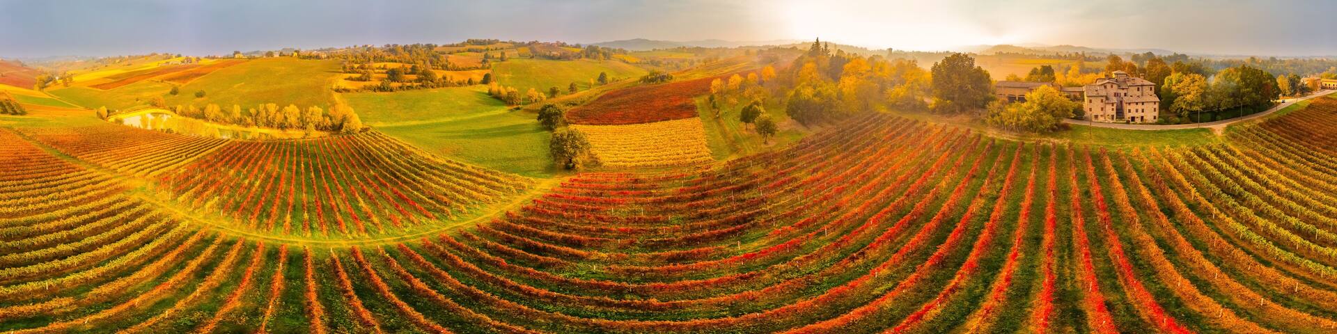 Beautiful aerial panoramic view autumn vineyard shot at sunset.Castelvetro, Modena province, Emilia Romagna, Italy.Lambrusco vineyards.Beautiful Italian Landscape