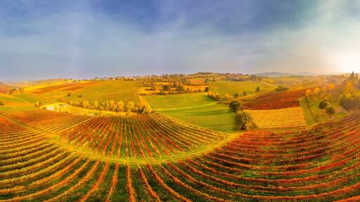 Castelvetro di Modena