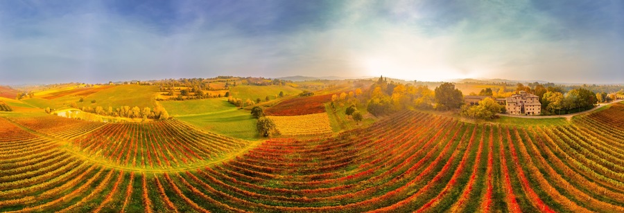 Beautiful aerial panoramic view autumn vineyard shot at sunset.Castelvetro, Modena province, Emilia Romagna, Italy.Lambrusco vineyards.Beautiful Italian Landscape