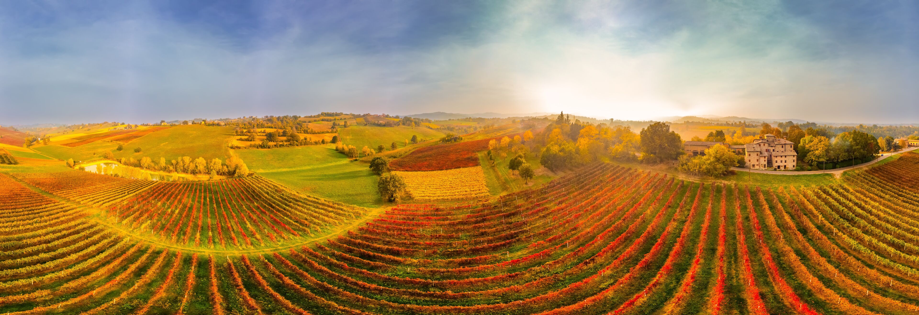 A vineyard with rows of grapevines, a building, and rolling hills in the background.