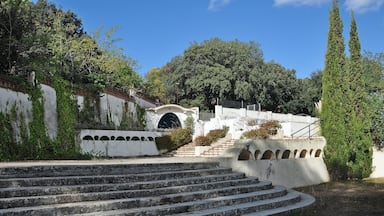 A set of stone steps leading up to a white wall with arched doorways, surrounded by greenery and trees.