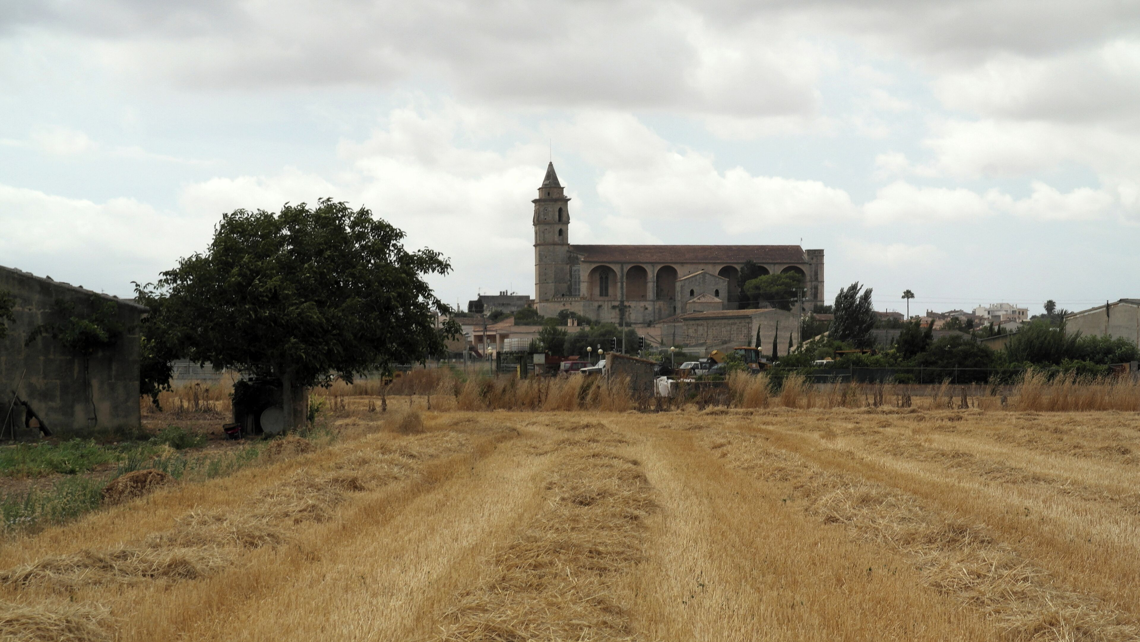 Petra, 07520, Balearic Islands, Spain