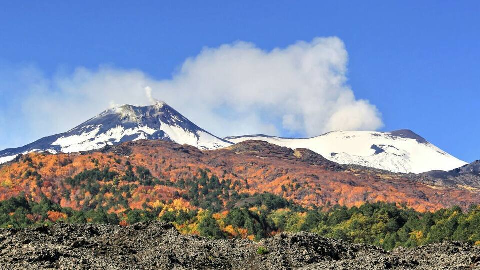 A mountain with snow-capped peaks and a forest with autumn foliage.