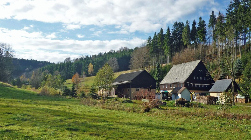 Die ehem. Essigmühle (Hermsdorf/Erzgeb.) im Weißbachtal am unteren Ortsende von Seyde im Ost-Erzgebirge