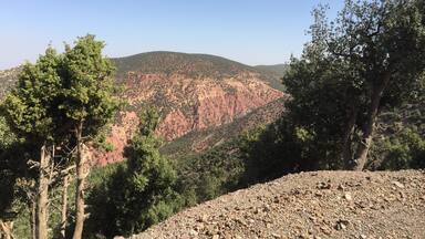 Multiple colours #EndlessSummer