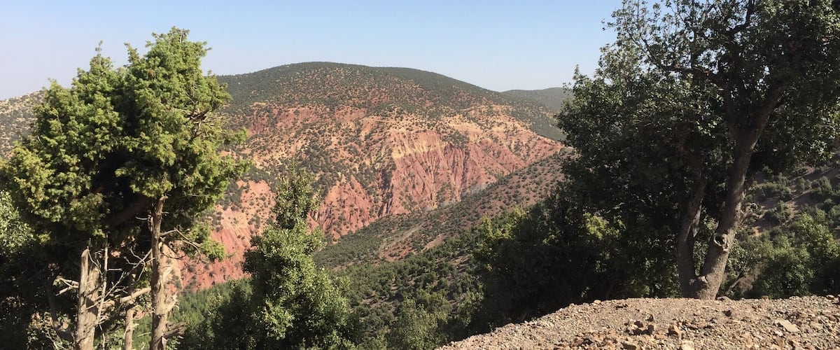 A mountainous landscape with rocky terrain and dense green trees.