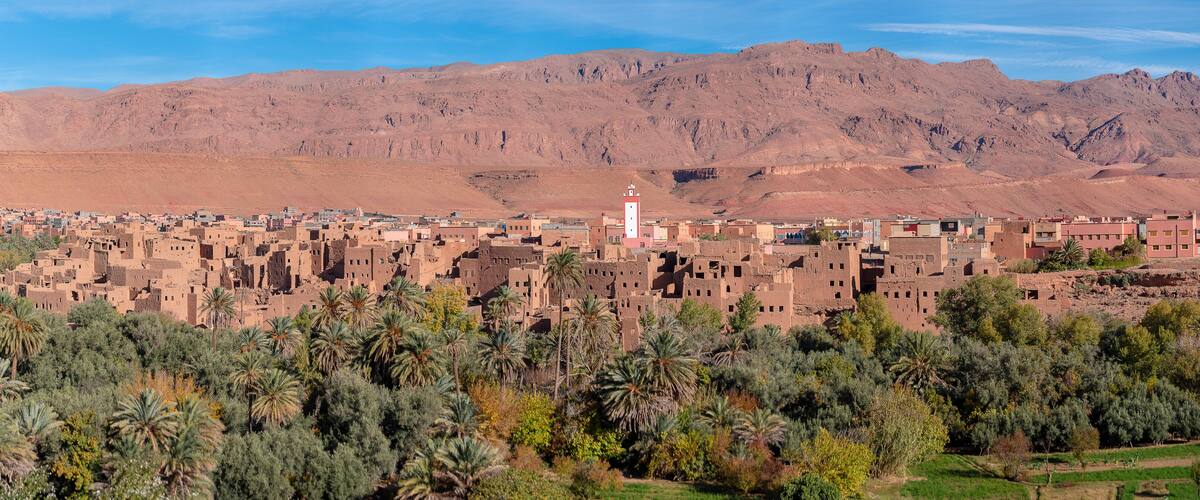 A desert town with traditional mud-brick buildings, palm trees, and mountains in the background.
