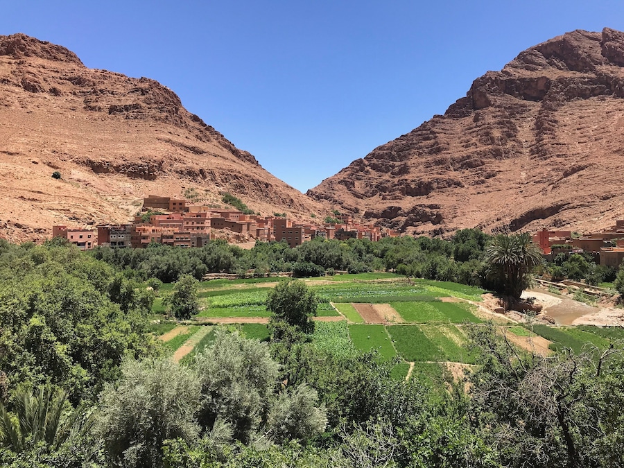 Overlooking the oasis in the town of Tinerhir Morocco. #morocco #tinerhir #oasis #travel #slowtravel #flashpackingbarbe #travelmorocco #africa #northafrica #earthbound #watersource