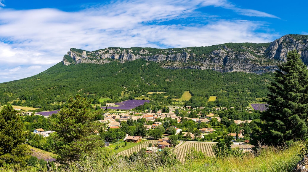 Saou, in the Drôme department, southeastern France, door of Provence. The town offers traditional architecture with its narrow medieval streets and houses under synclinal of Saoû mountain.