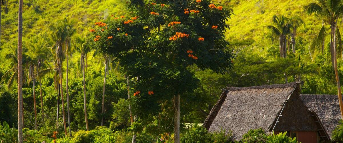 Coral Coast featuring tropical scenes, a coastal town and a park
