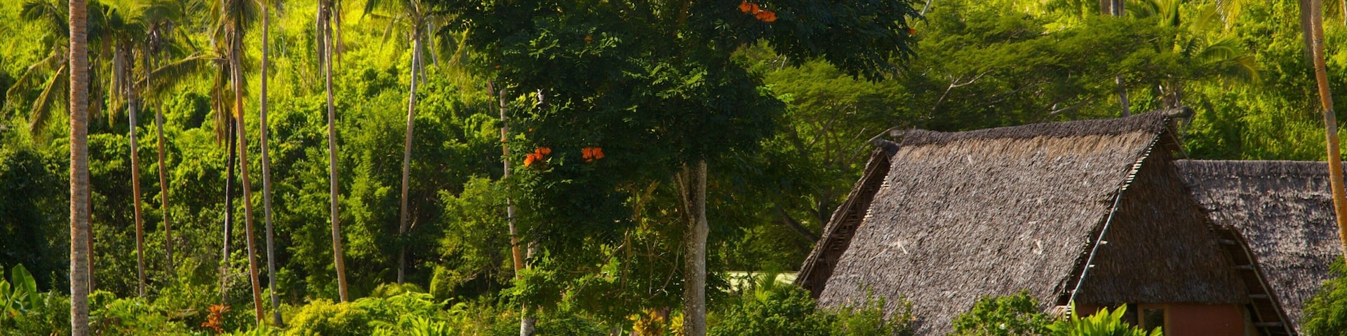 Coral Coast featuring tropical scenes, a coastal town and a park