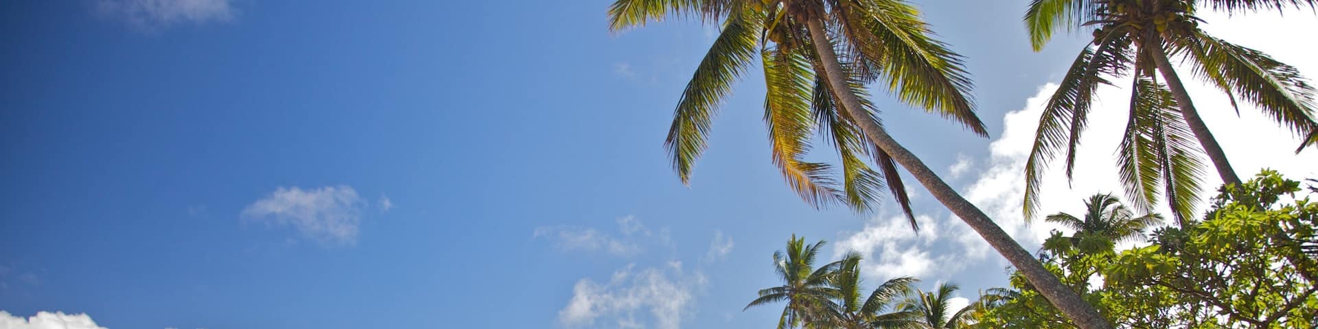 Coral Coast which includes tropical scenes and a beach