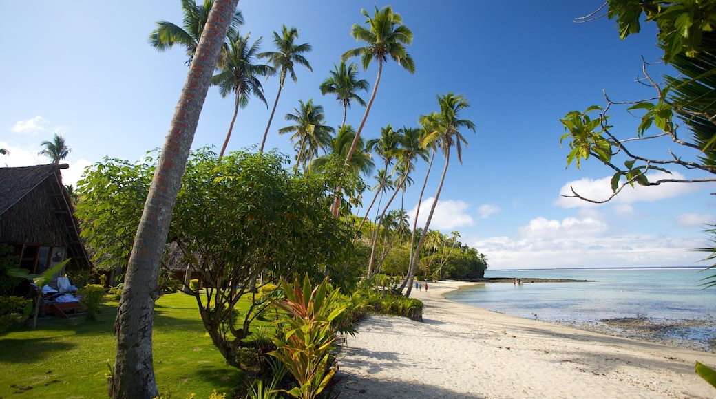 Coral Coast featuring a sandy beach and tropical scenes