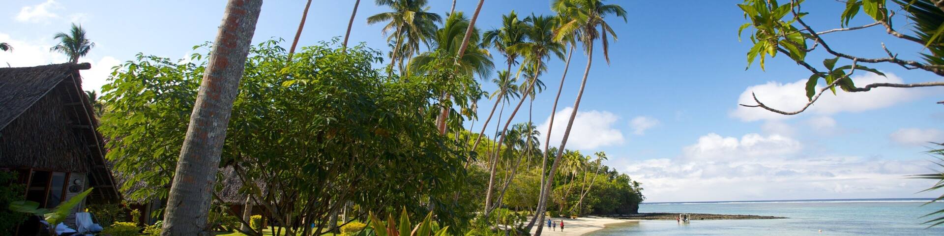 Costa de Coral ofreciendo escenas tropicales y una playa