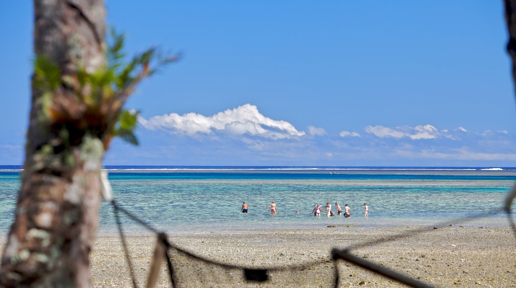 Costa de Coral mostrando una playa de arena, natación y escenas tropicales