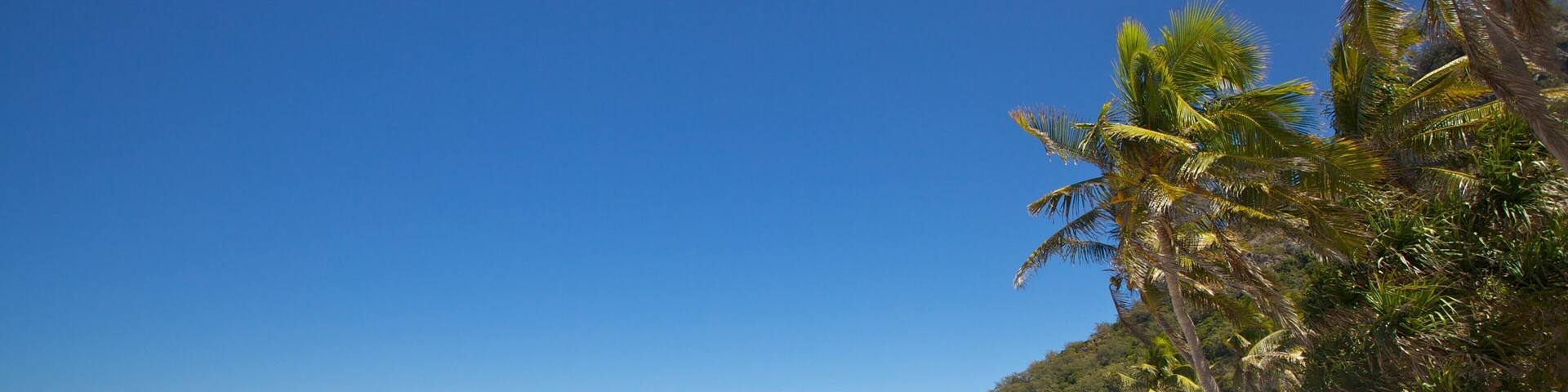 Mamanuca Islands which includes tropical scenes and a beach