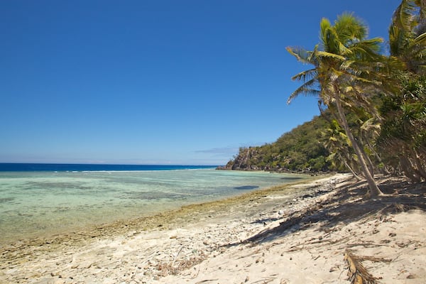 Mamanuca Islands which includes tropical scenes and a beach
