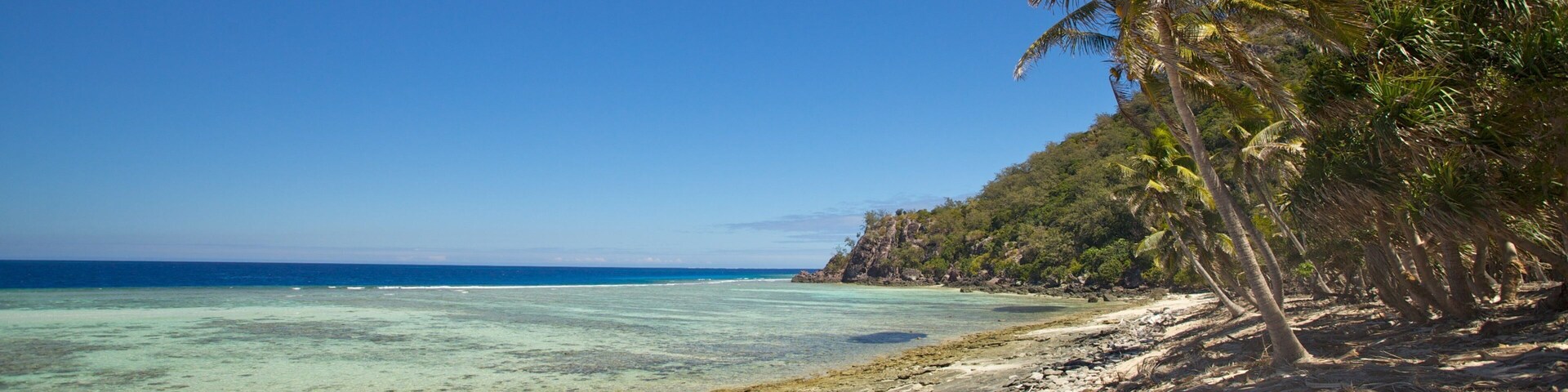 Mamanuca Islands which includes tropical scenes and a beach