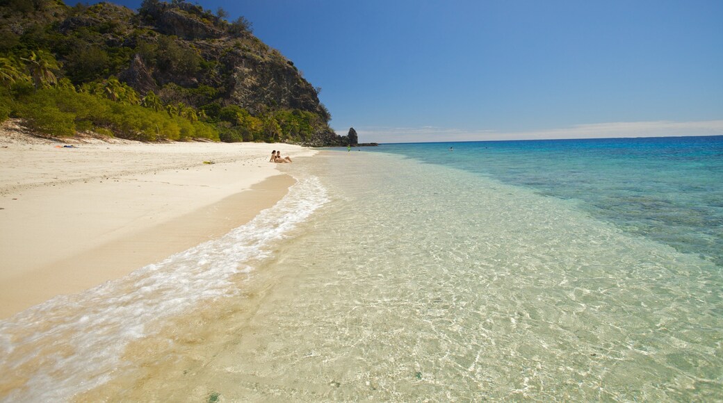 Mamanucaöarna som visar landskap, tropisk natur och en strand