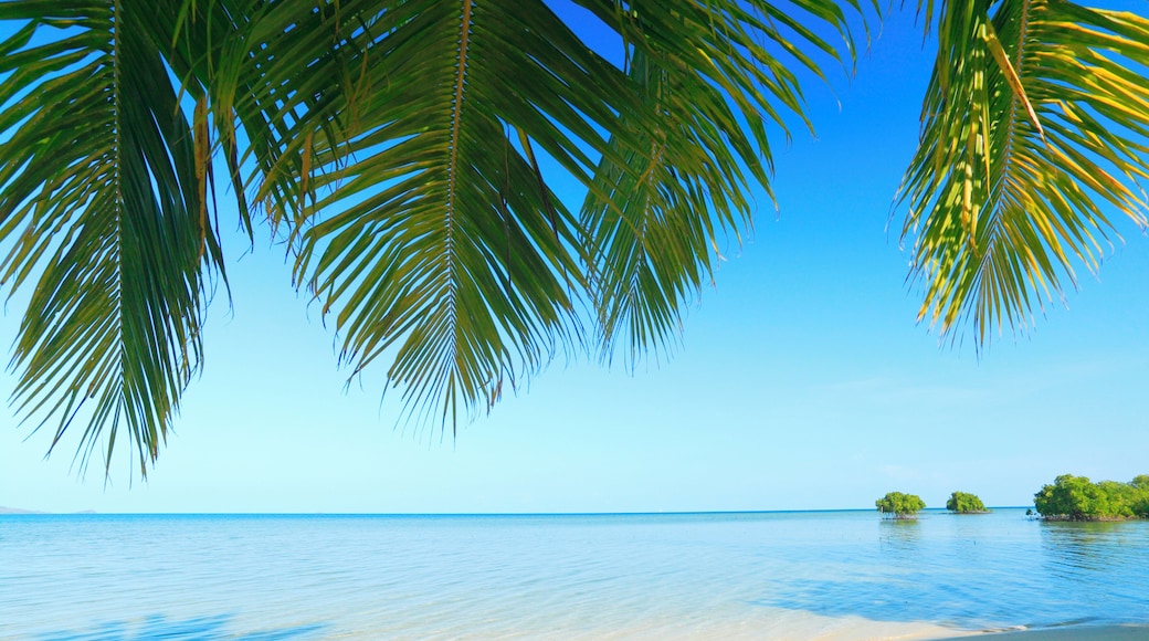 Fiji, Vanua Levu, Nukubati Island