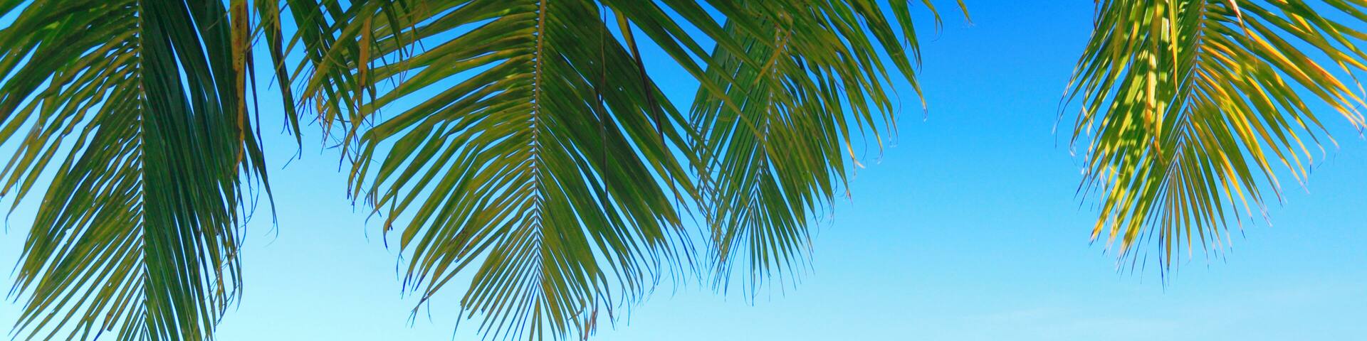 Fiji, Vanua Levu, Nukubati Island