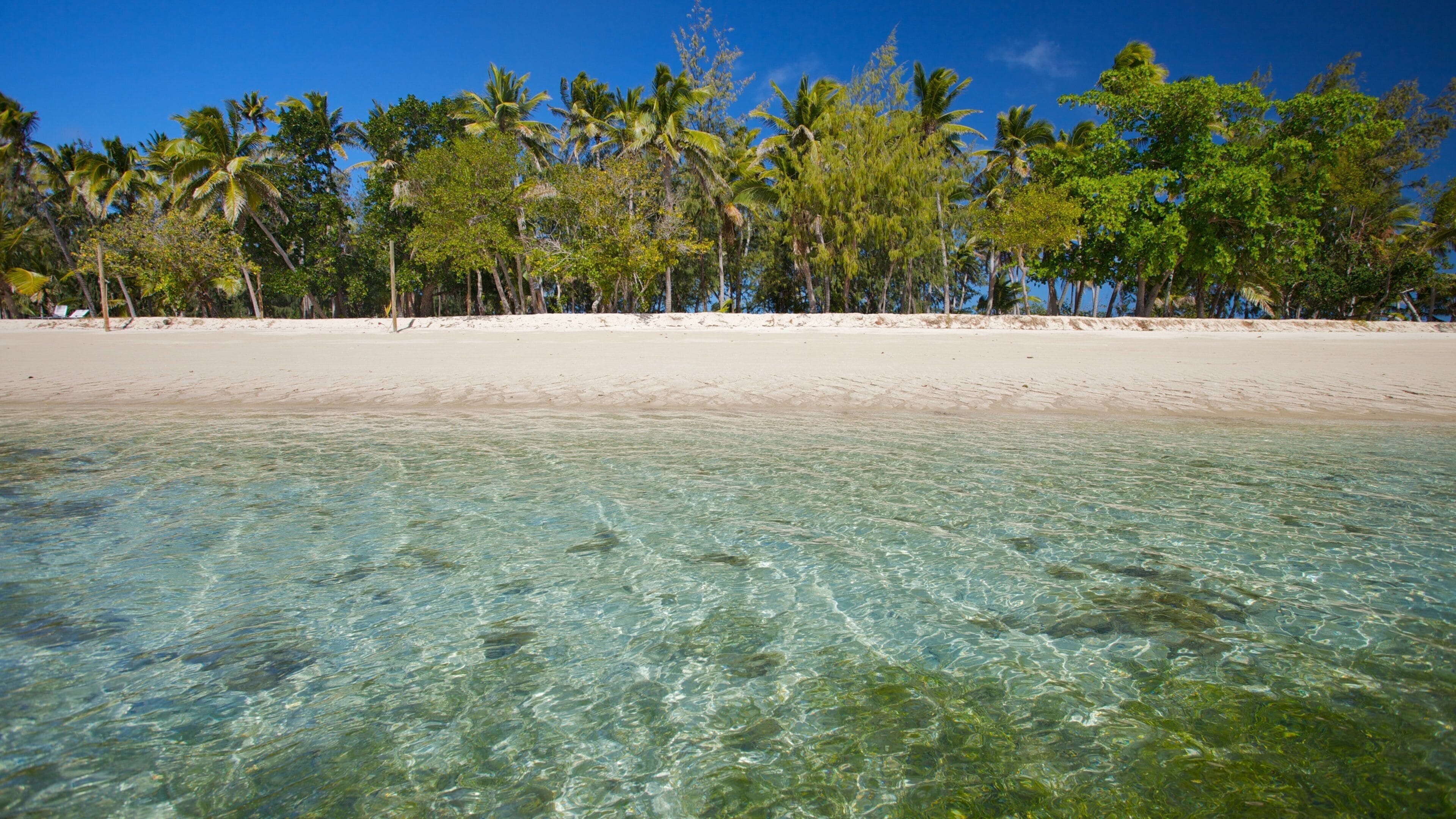 Yasawa Islands inclusief tropische uitzichten, een zandstrand en afbeeldingen van eilanden