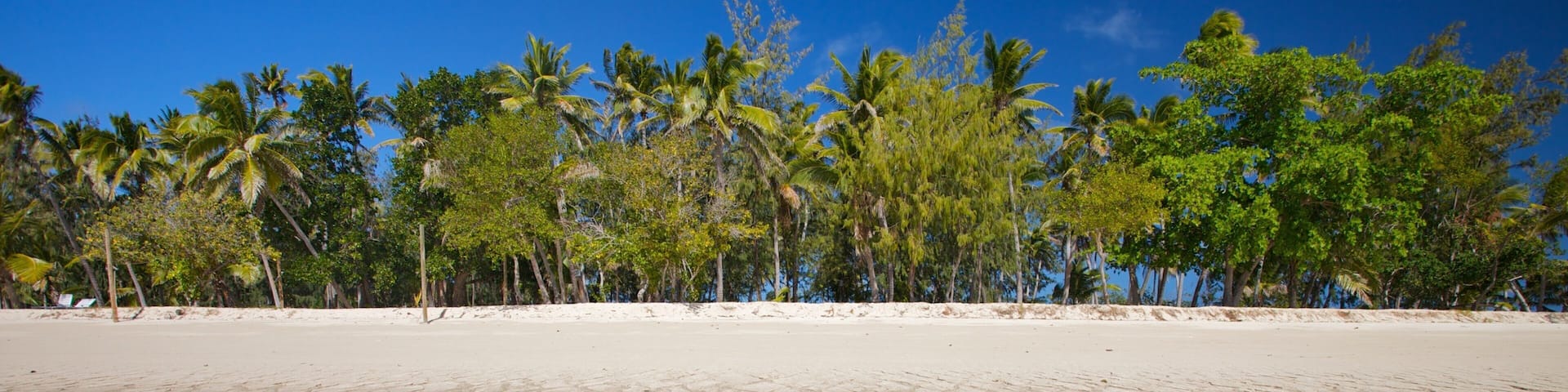 Yasawa Islands which includes a sandy beach, island images and tropical scenes