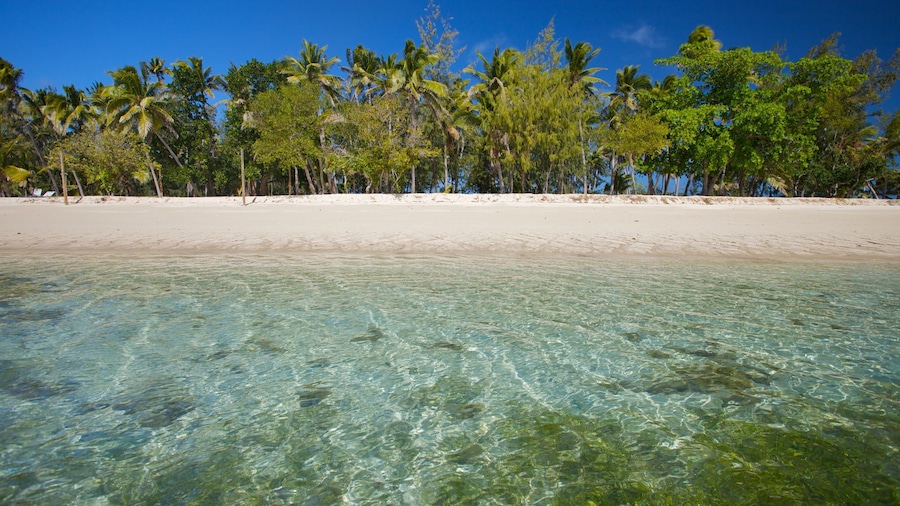 Yasawa Islands which includes a sandy beach, island images and tropical scenes