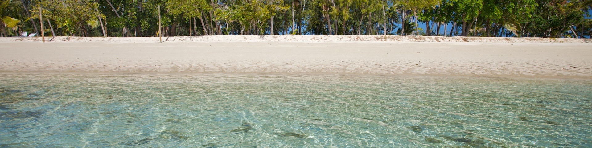 Yasawa Islands which includes a sandy beach, island images and tropical scenes