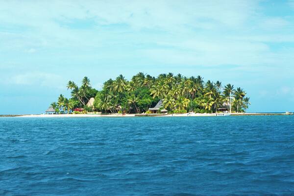 A tropical island with palm trees and beach huts.