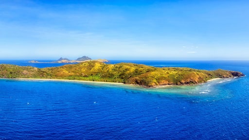 D Fiji Mid hideaway pan