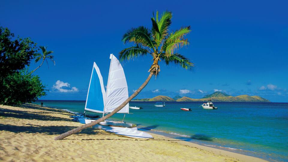A sandy beach with a palm tree, sailboats, and calm blue waters.