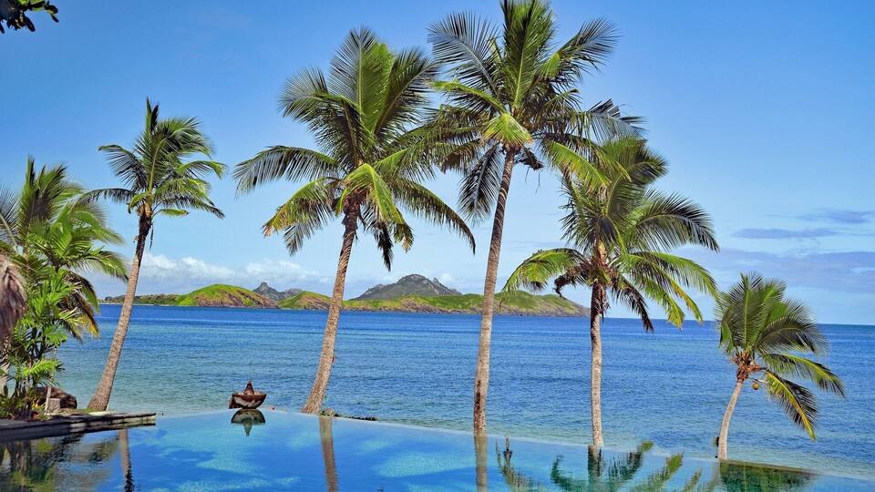 A tropical infinity pool with palm trees and a clear blue sea.
