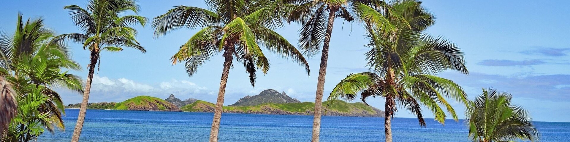 Una piscina infinita tropical con palmeras y un mar azul cristalino.