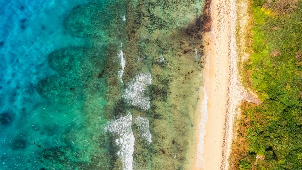 An aerial view of a beach with clear turquoise water, sandy shore, and green vegetation.