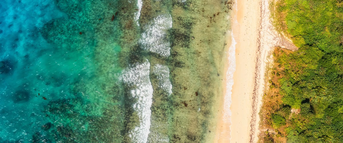 An aerial view of a beach with clear turquoise water, sandy shore, and green vegetation.