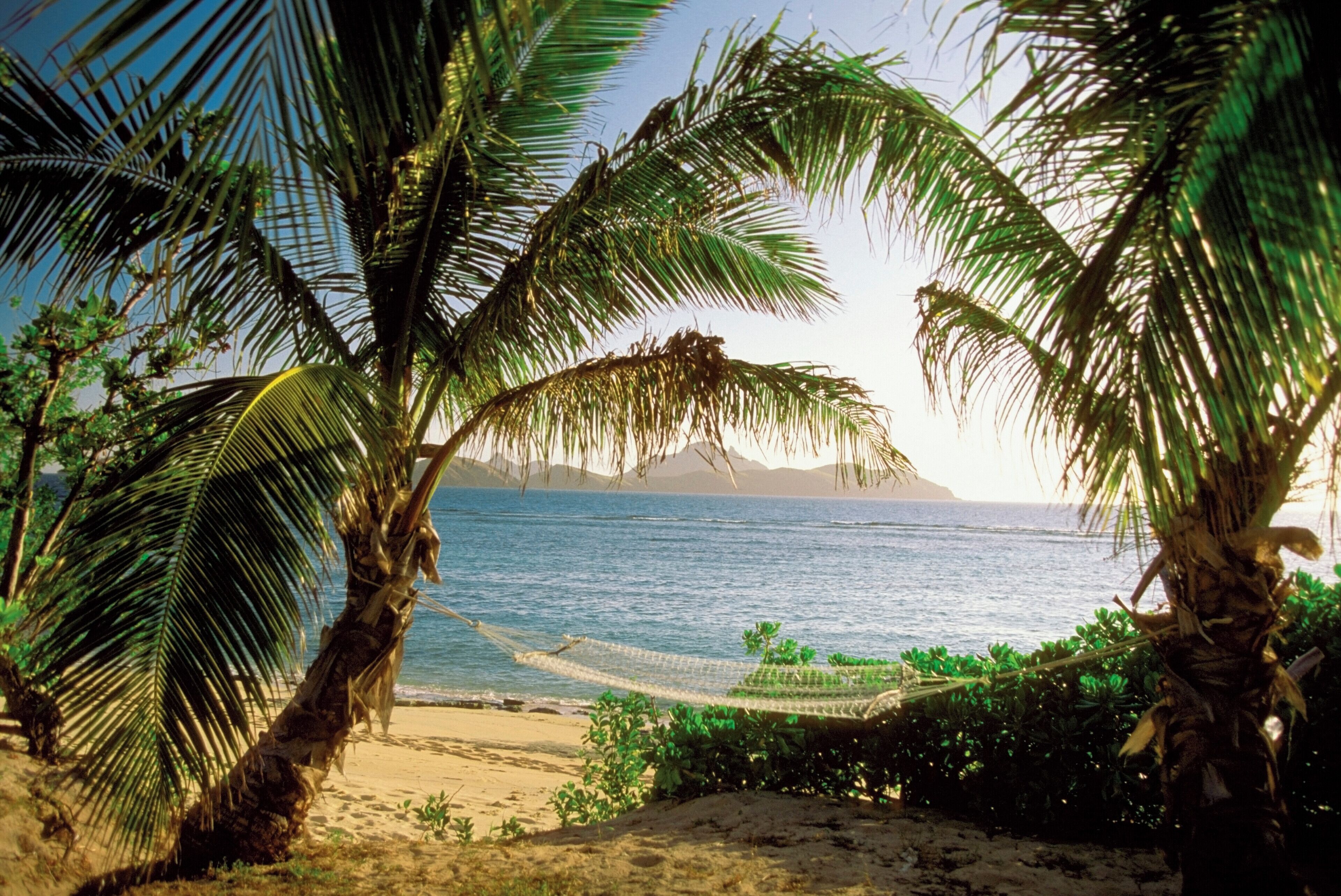 Hammock between two palm trees, Mamanuca Group Resort Beach, Tokoriki Island, Fiji