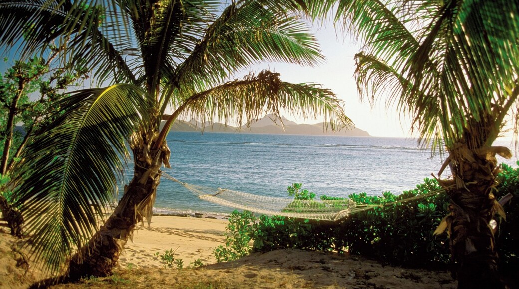 Hammock between two palm trees, Mamanuca Group Resort Beach, Tokoriki Island, Fiji