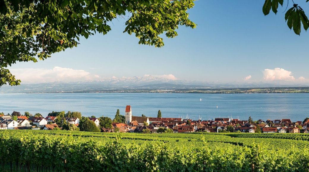Panorama Bodensee