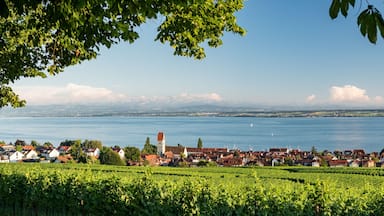Panorama Bodensee